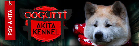 Dogutti - Akita kennel