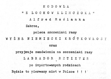 http://www.dogutti.com.pl/files/labra.jpg